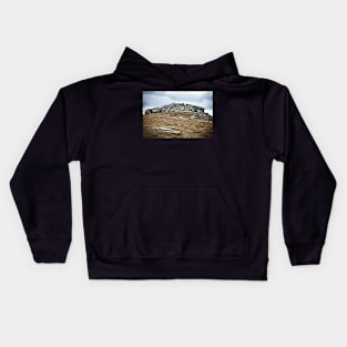 Landscape with Parang mountains in Romania Kids Hoodie